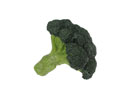 Enlarge - Artificial Broccoli, 0102931