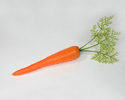 Enlarge - Artificial Carrot, 02021395