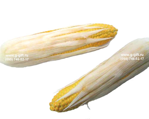 Artificial Corn,  code: 0202073