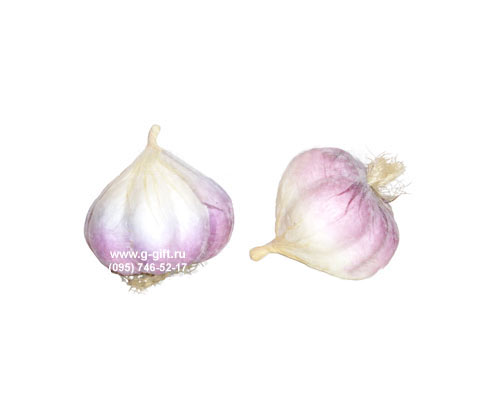 Artificial Garlic,  code: 0202250