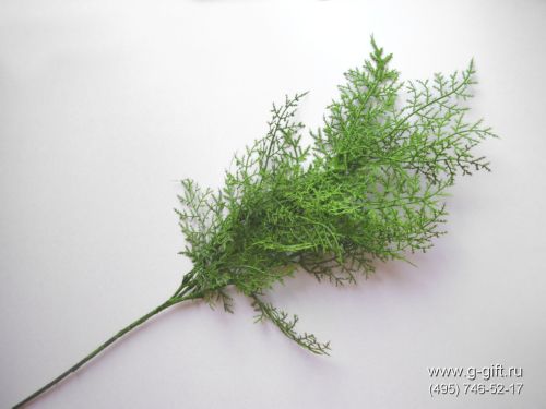 Artificial Fennel,  code: 0202642