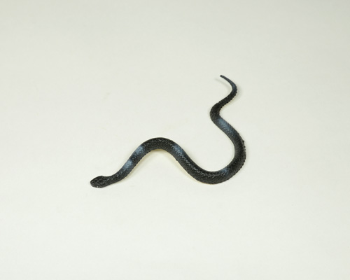 Artificial Snake,  code: 02041423