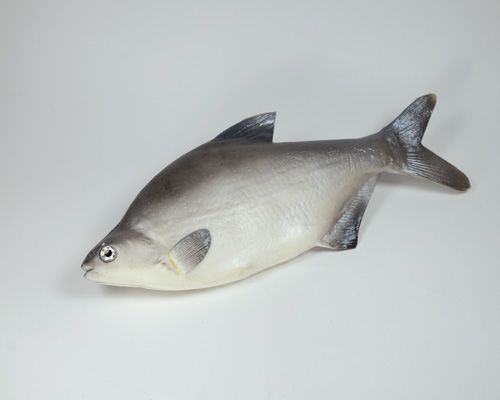 Artificial Fish,  code: 02041529