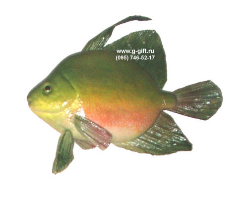 Artificial Fish,  code: 0204199