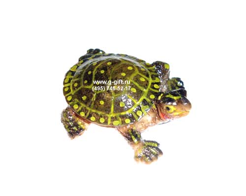 Artificial Tortoise magnet,  code: 0204607