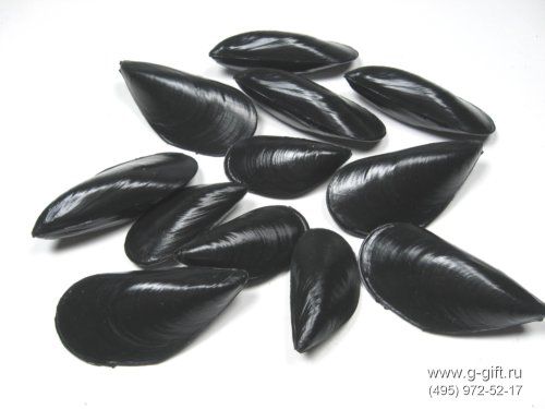 Artificial Mussel,  code: 03041032