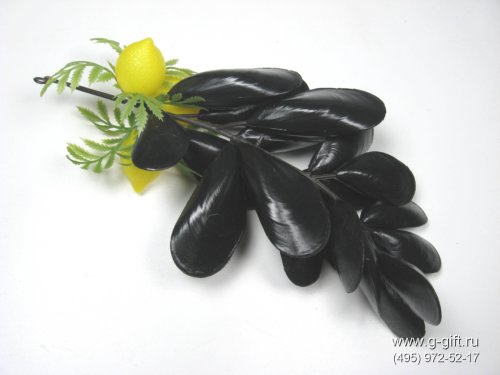 Artificial Mussel,  code: 03041035